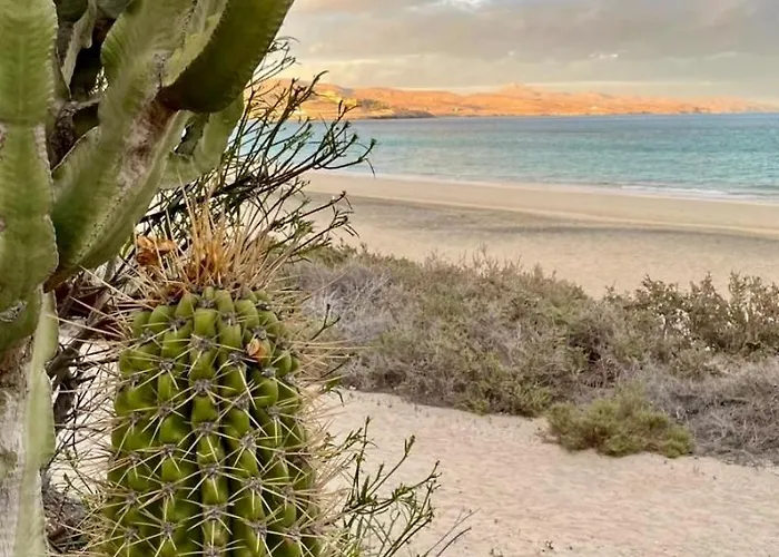 Holiday Bungalow Costa Calma Hébergement de vacances *