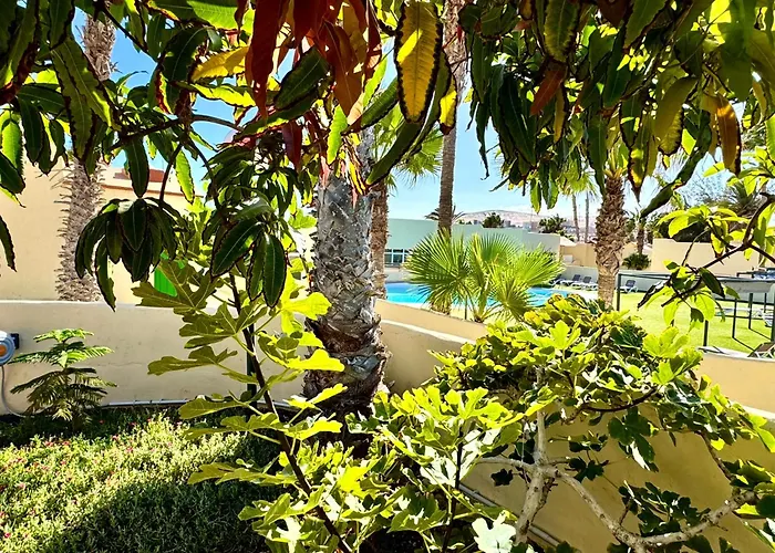 Holiday Bungalow Costa Calma Hébergement de vacances