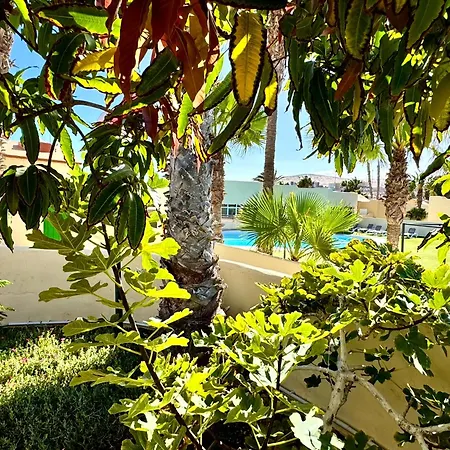 Holiday Bungalow Costa Calma Dom wakacyjny